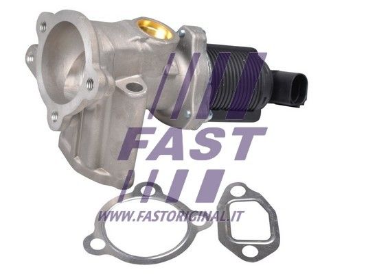 EGR Valve FAST FT60228