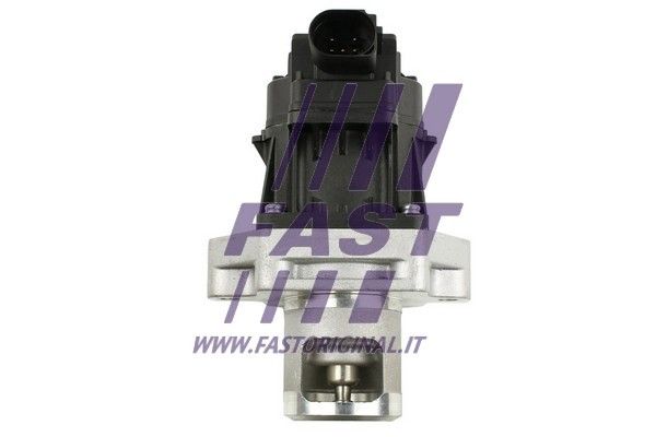 EGR Valve FAST FT60234