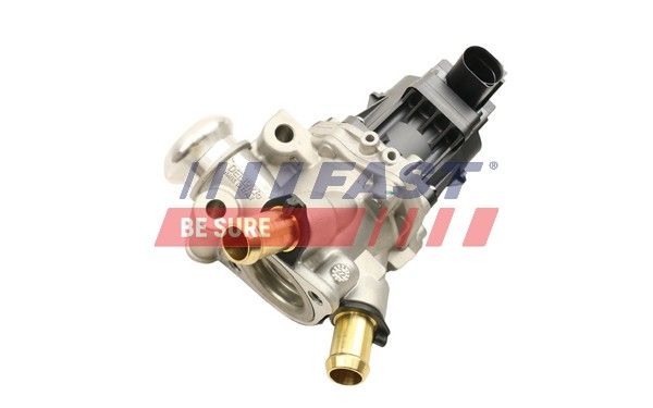 EGR Valve FAST FT60247