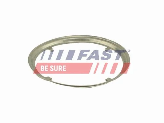 Tarpiklis, išleidimo kolektorius FAST FT84817