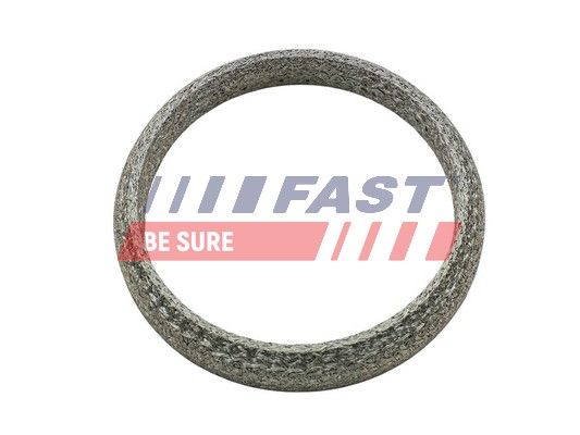 Gasket, exhaust pipe FAST FT84818