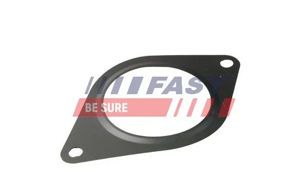 Tarpiklis, išleidimo kolektorius FAST FT84828