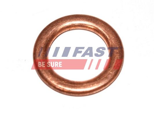 Seal, oil filler neck cap FAST FT94715