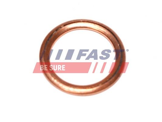 Seal Ring, oil drain plug FAST FT94716