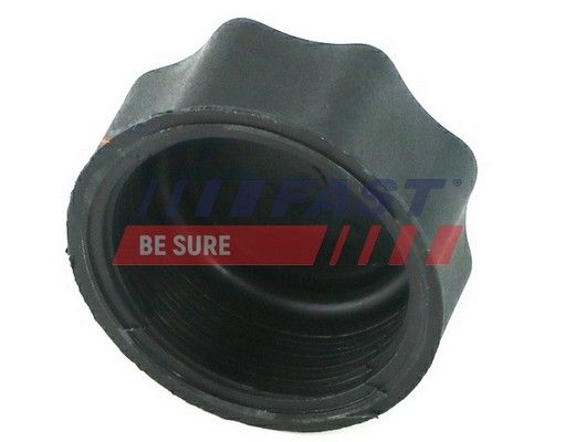 Sealing Cap, oil filler neck FAST FT94718