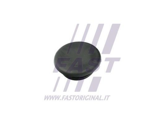 Dangtelis, išorinė durų rankena FAST FT97401