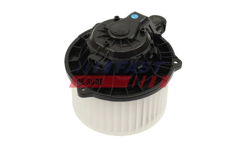 Vidaus pūtiklis fast FT00397