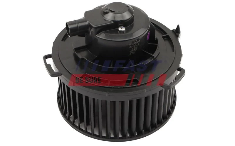 Vidaus pūtiklis  FT00400