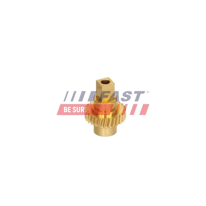 Pavarų dėžė, elektrinis variklis, (stoglangis) FAST FT04176