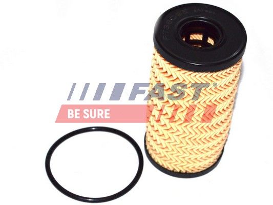 Oil Filter FAST FT38095