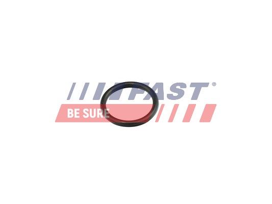 Ущільнення, фланець охолоджувальної рідини FAST FT49856