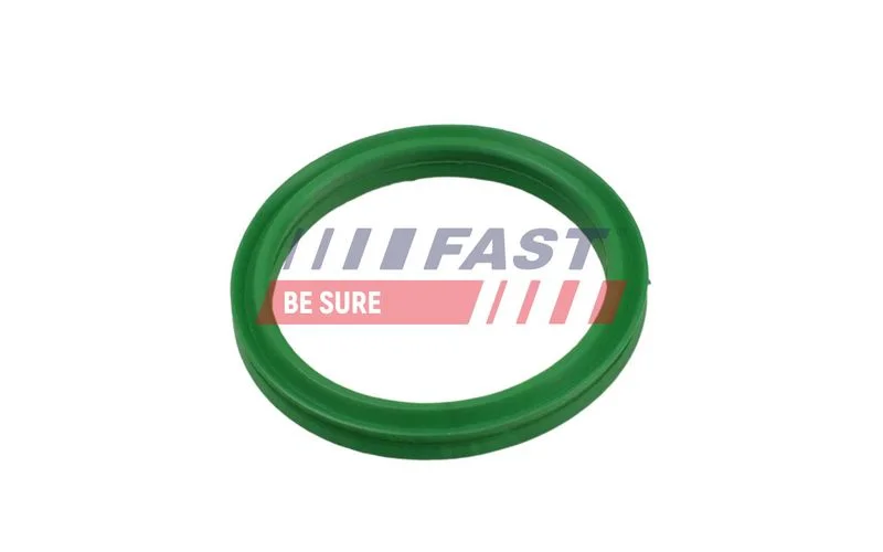 Tarpiklis, turbinos oro žarna FAST FT49936