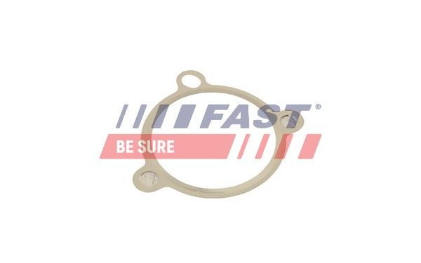 Gasket, EGR valve FAST FT50605