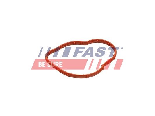 Seal, thermostat FAST FT58305
