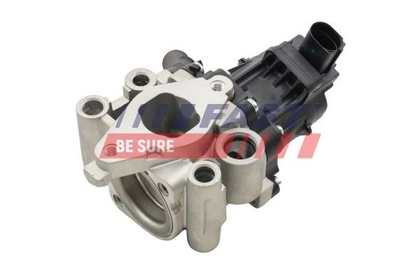 EGR Valve FAST FT60202