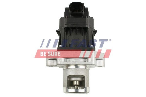 EGR Valve FAST FT60234