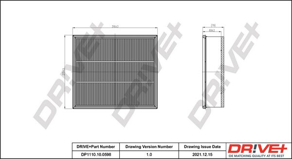 Air Filter Dr!ve+ DP1110.10.0598