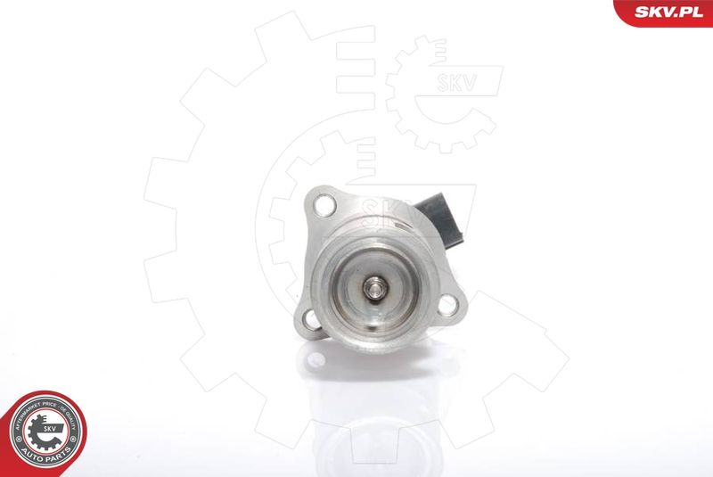 EGR Valve ESEN SKV 14SKV021