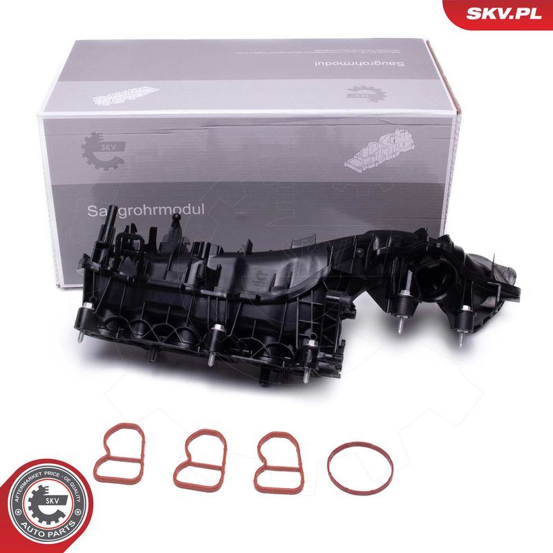 Intake Manifold Module ESEN SKV 49SKV079