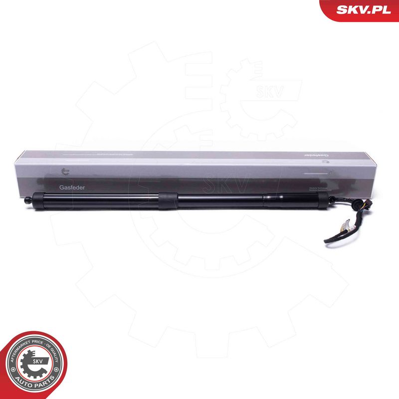 Електродвигун, кришка багажника ESEN SKV 52SKV954
