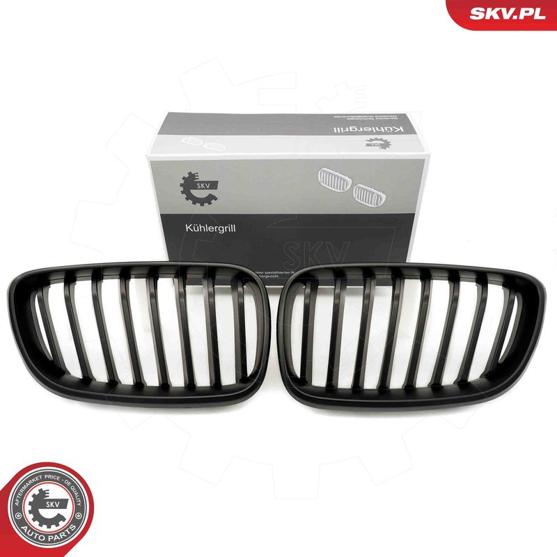 Radiator Grille ESEN SKV 66SKV030