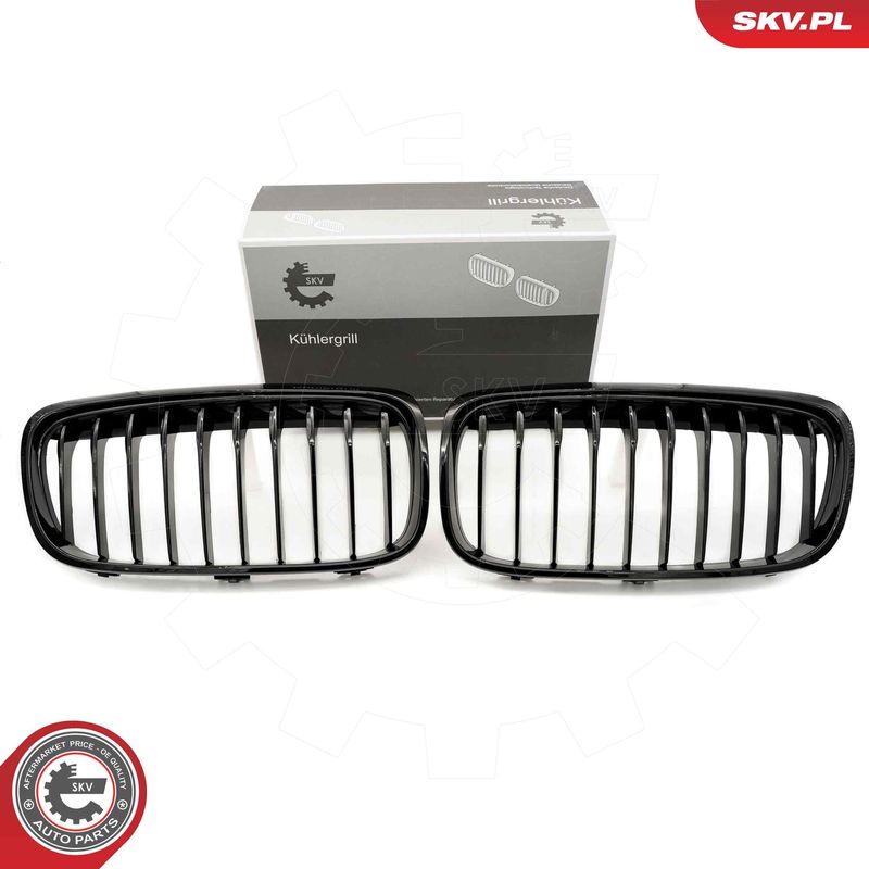 Grelha do radiador ESEN SKV 66SKV039
