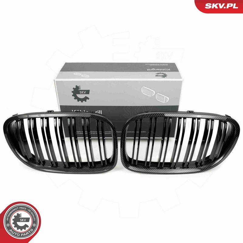 Grelha do radiador ESEN SKV 66SKV221
