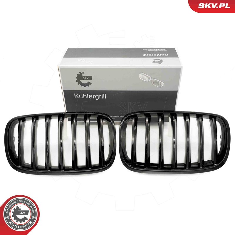 Radiator Grille ESEN SKV 66SKV282