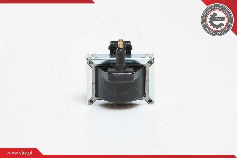 Ignition Coil ESEN SKV 03SKV040