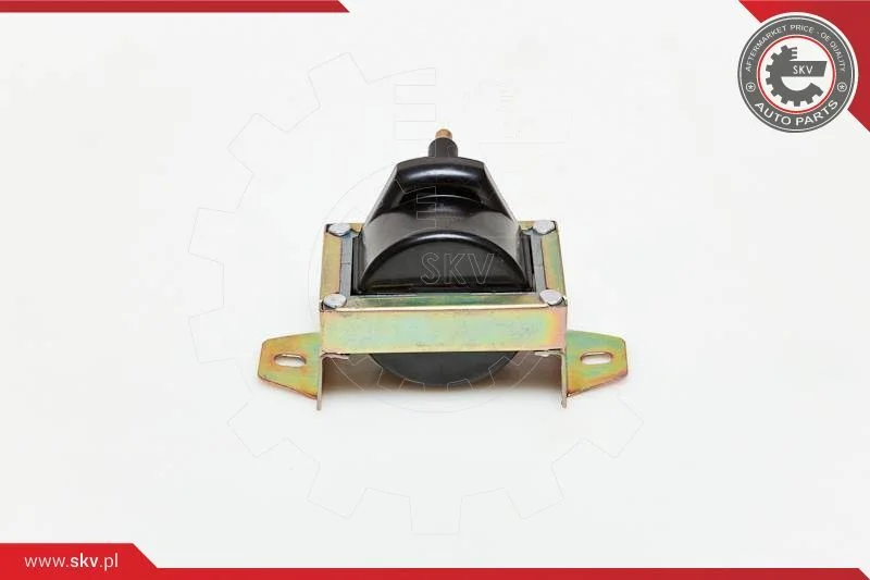 Ignition Coil ESEN SKV 03SKV119