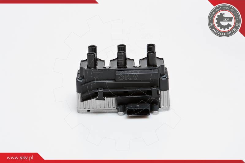 Ignition Coil ESEN SKV 03SKV160