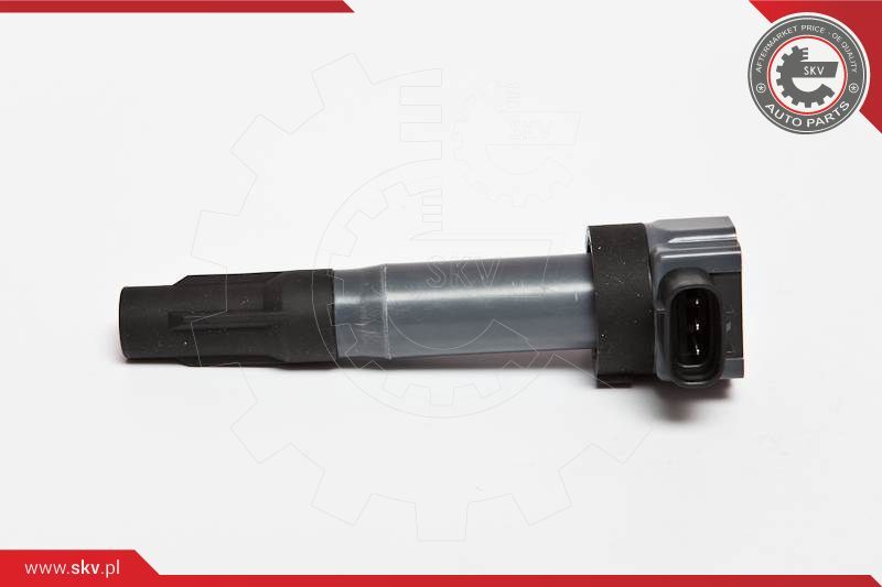 Ignition Coil ESEN SKV 03SKV203