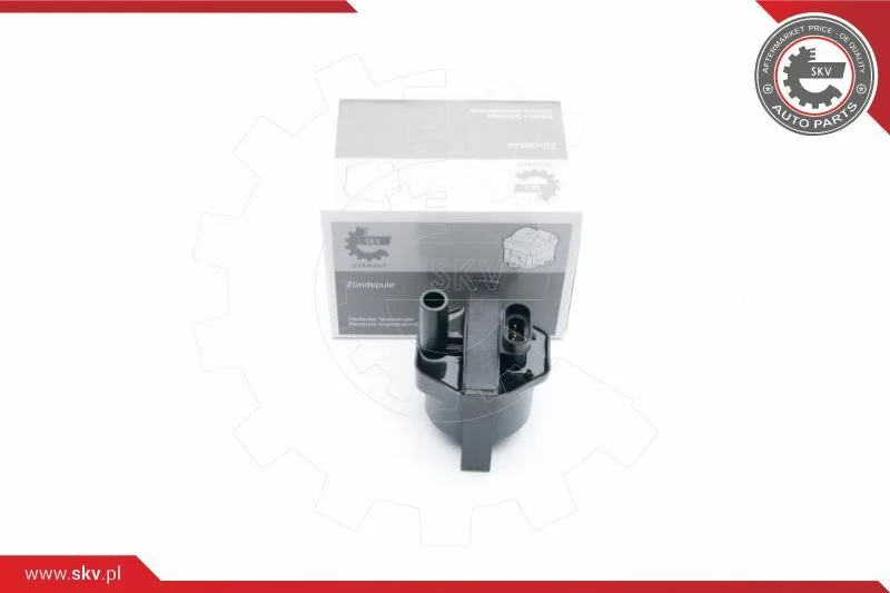 Ignition Coil ESEN SKV 03SKV253