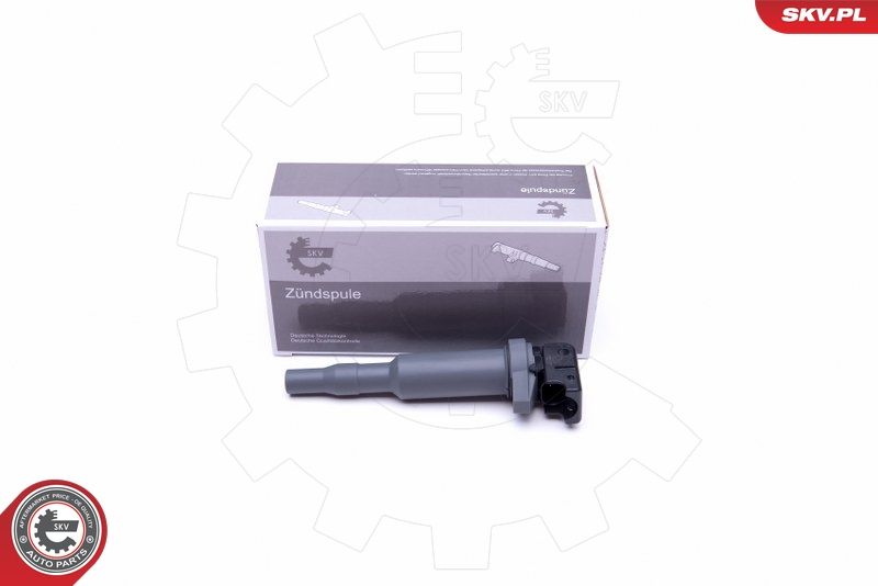 Ignition Coil ESEN SKV 03SKV291