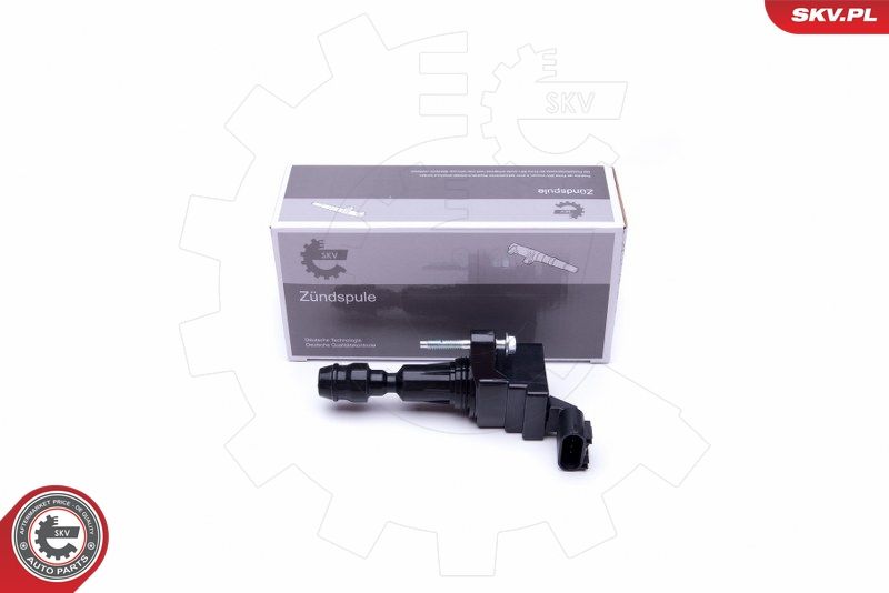 Ignition Coil ESEN SKV 03SKV296