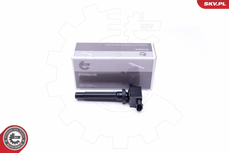 Ignition Coil ESEN SKV 03SKV341