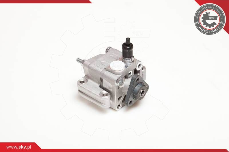 Hydraulic Pump, steering ESEN SKV 10SKV109