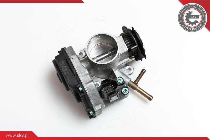 Throttle Body ESEN SKV 12SKV033