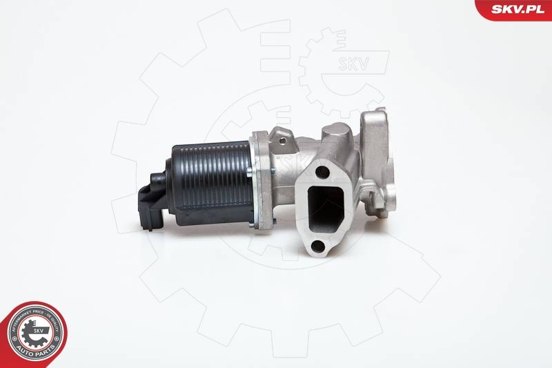 EGR Valve ESEN SKV 14SKV014