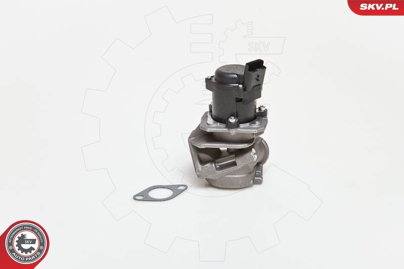 EGR Valve ESEN SKV 14SKV027