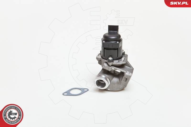 EGR Valve ESEN SKV 14SKV028