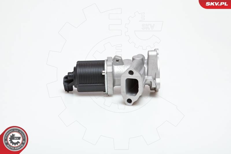 EGR Valve ESEN SKV 14SKV031