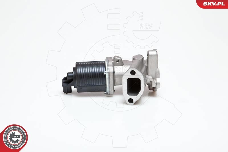 EGR Valve ESEN SKV 14SKV040