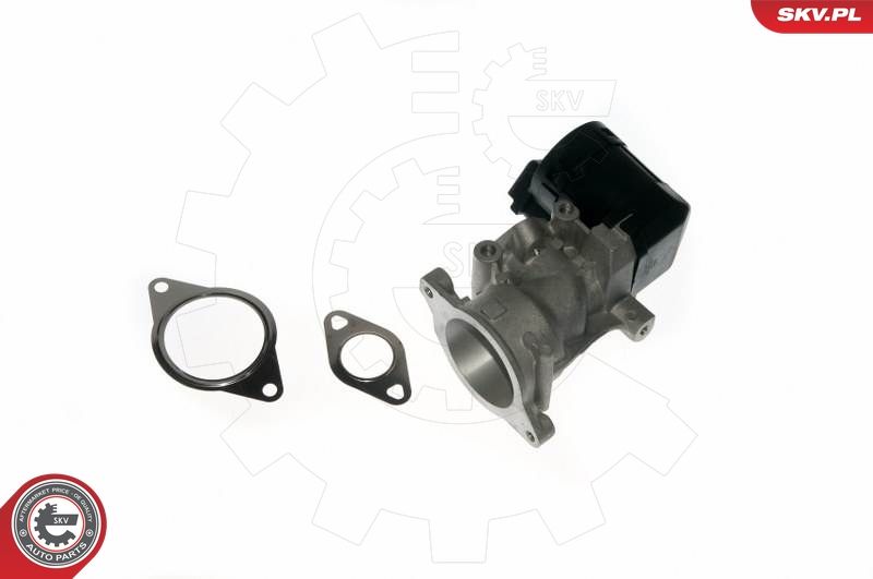 EGR Valve ESEN SKV 14SKV057