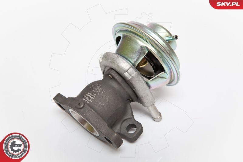 EGR Valve ESEN SKV 14SKV062