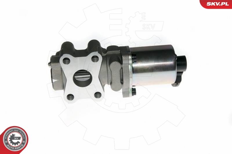 EGR Valve ESEN SKV 14SKV088