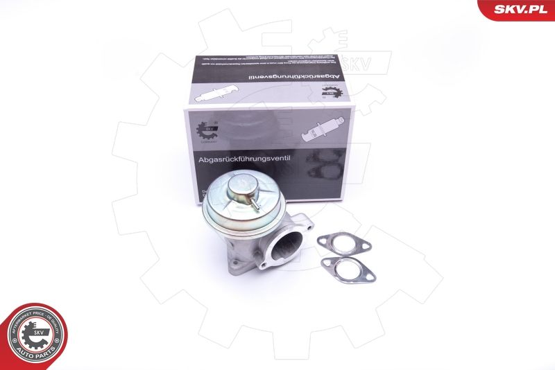 EGR Valve ESEN SKV 14SKV092