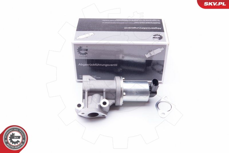 EGR Valve ESEN SKV 14SKV105