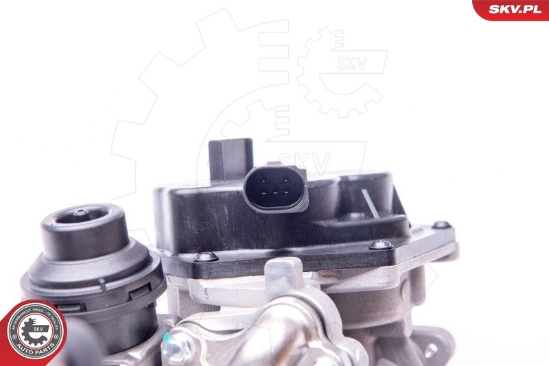 EGR Valve ESEN SKV 14SKV153