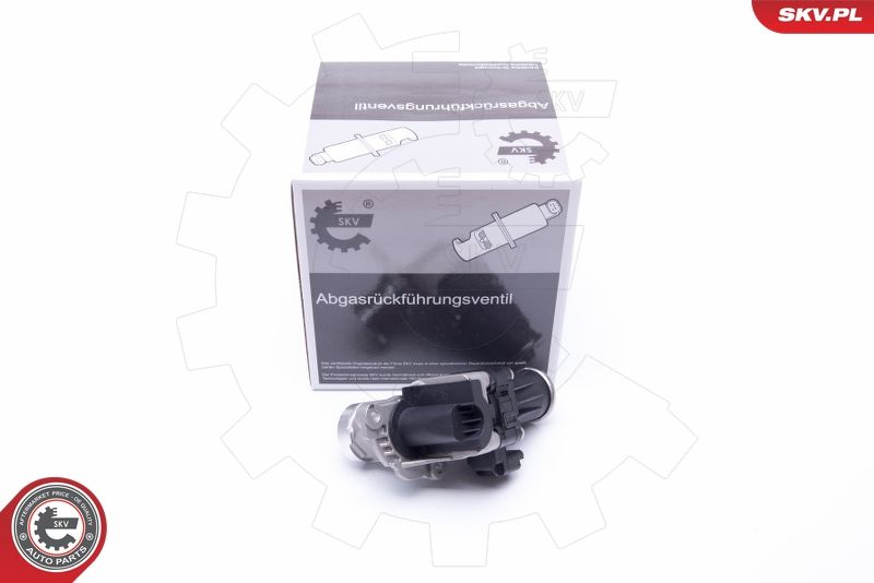 Клапан системи рециркуляції ВГ ESEN SKV 14SKV185